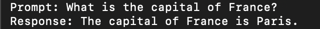 generate_text-1-example example