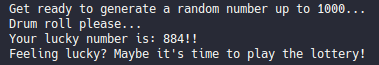rnd_int-1-example example